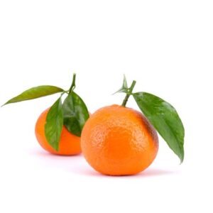 Mandarino Nova 20 KG